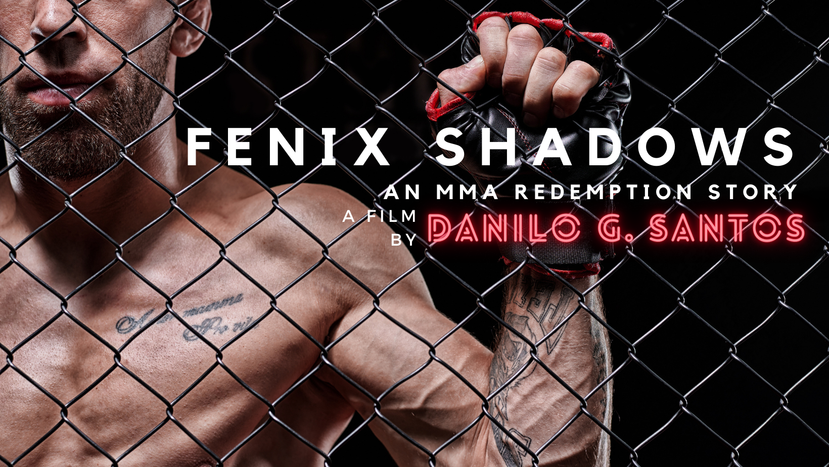Key art for Fenix Shadows