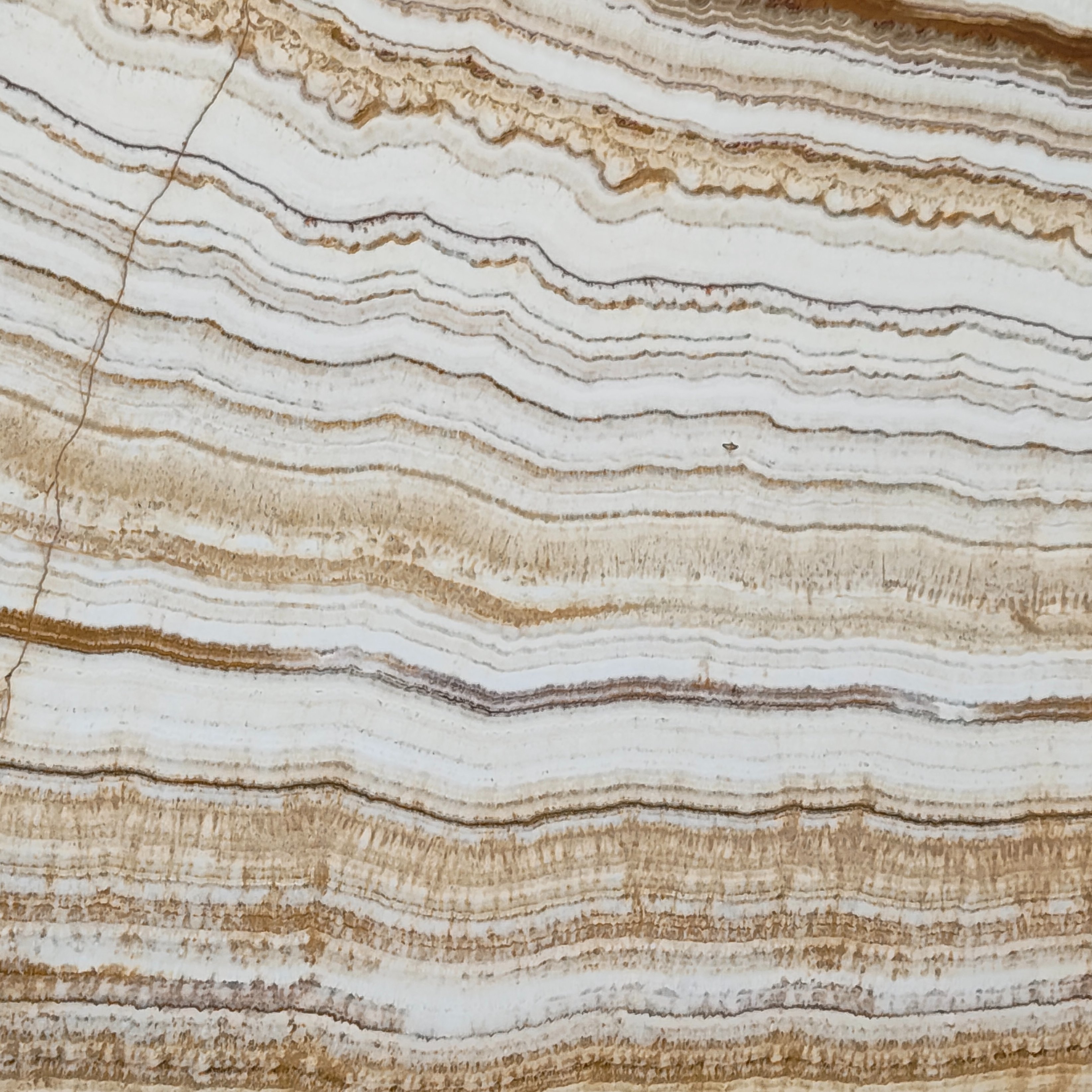 Fire Onyx onyx marble slab
