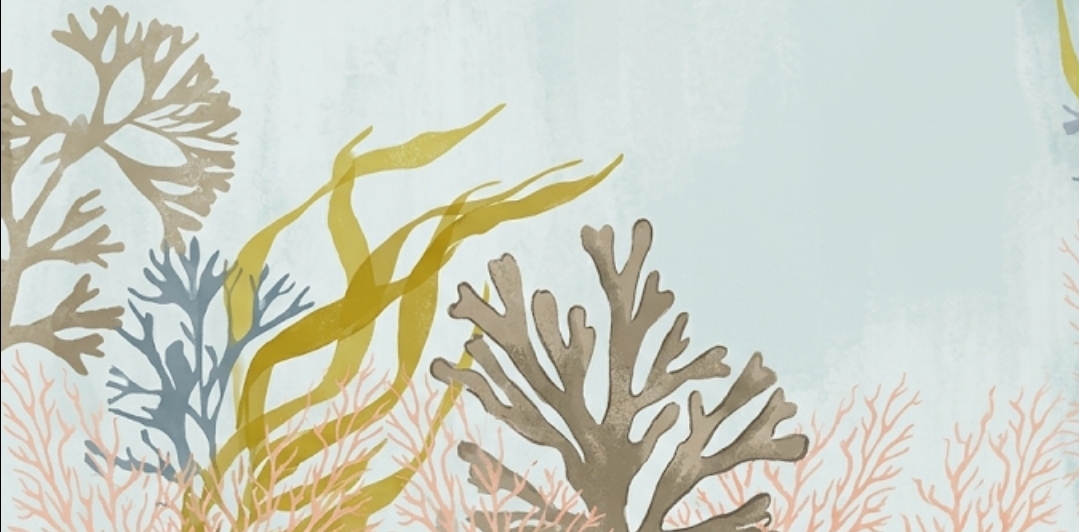 Underwater coral and seaweed illustration