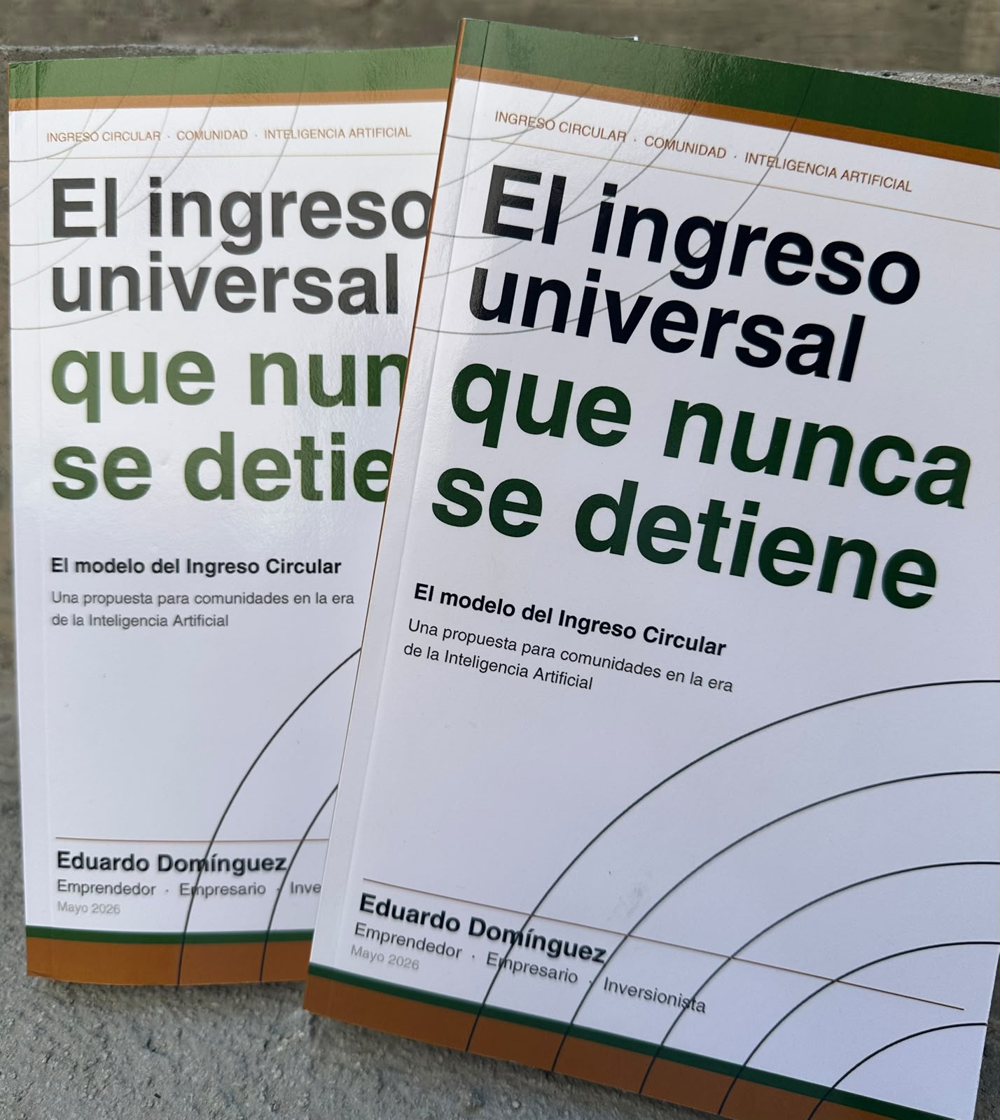 Portada del libro El Ingreso Universal que Nunca se Detiene de Eduardo Domínguez