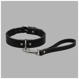 Collar