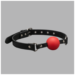 Ball Gag