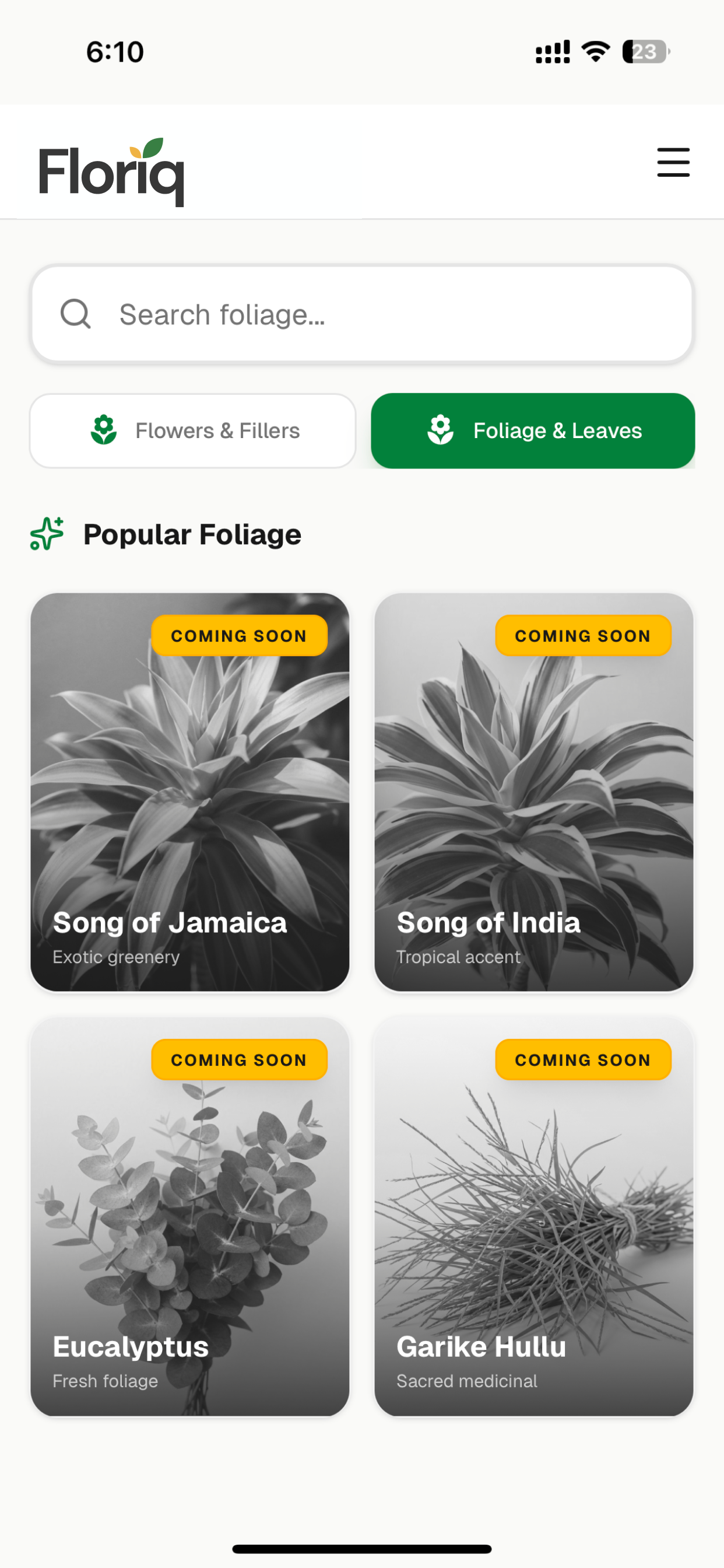 Foliage & Leaves