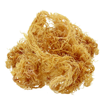 Irish Moss