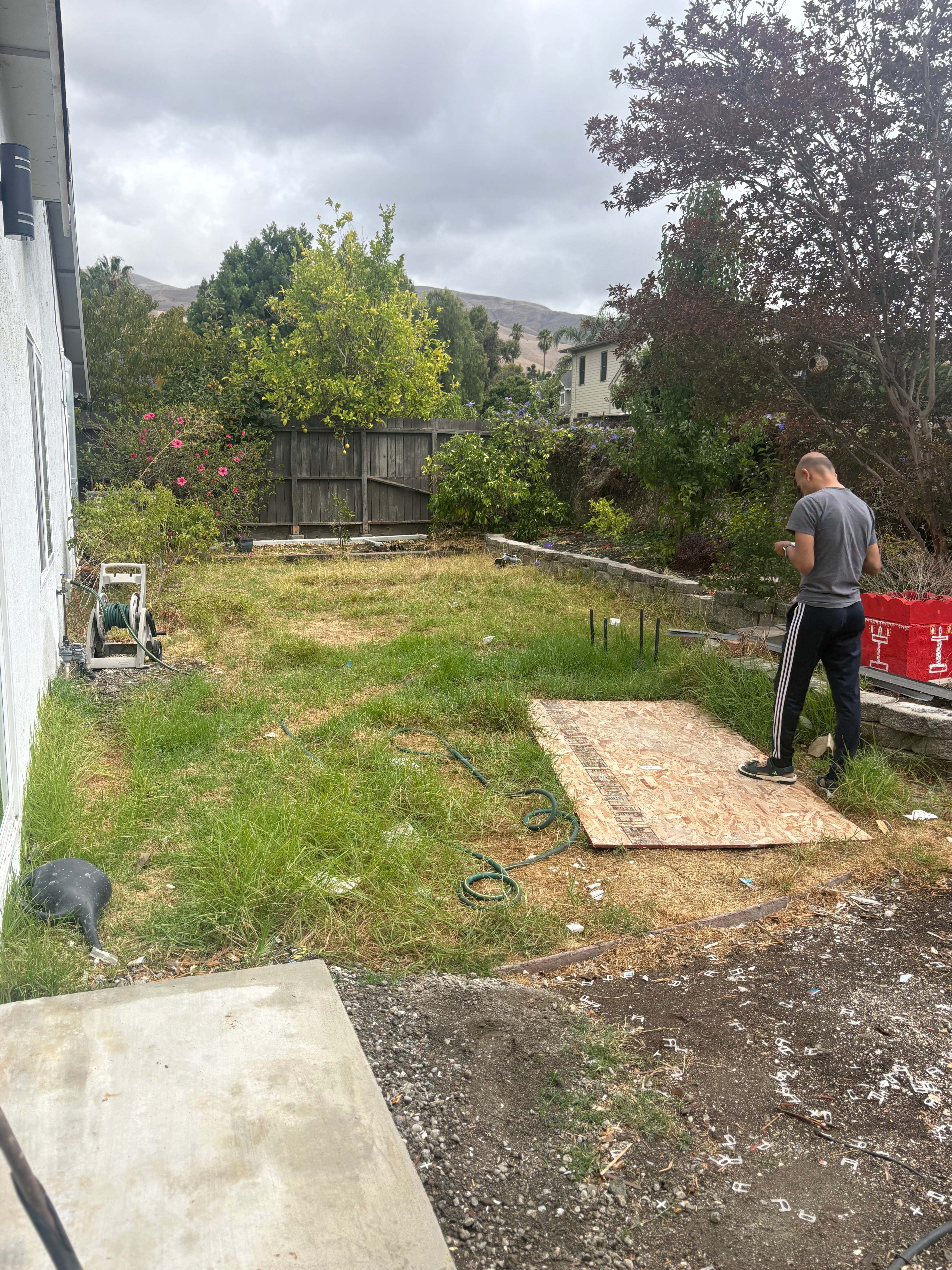 Backyard before - alternate angle showing overgrown conditions