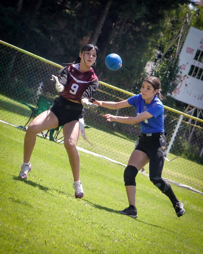 Acción defensiva en el campo