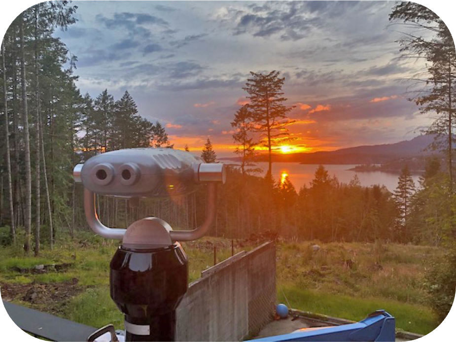 Hi-Spy utsiktskikare - Solnedgång i skogen