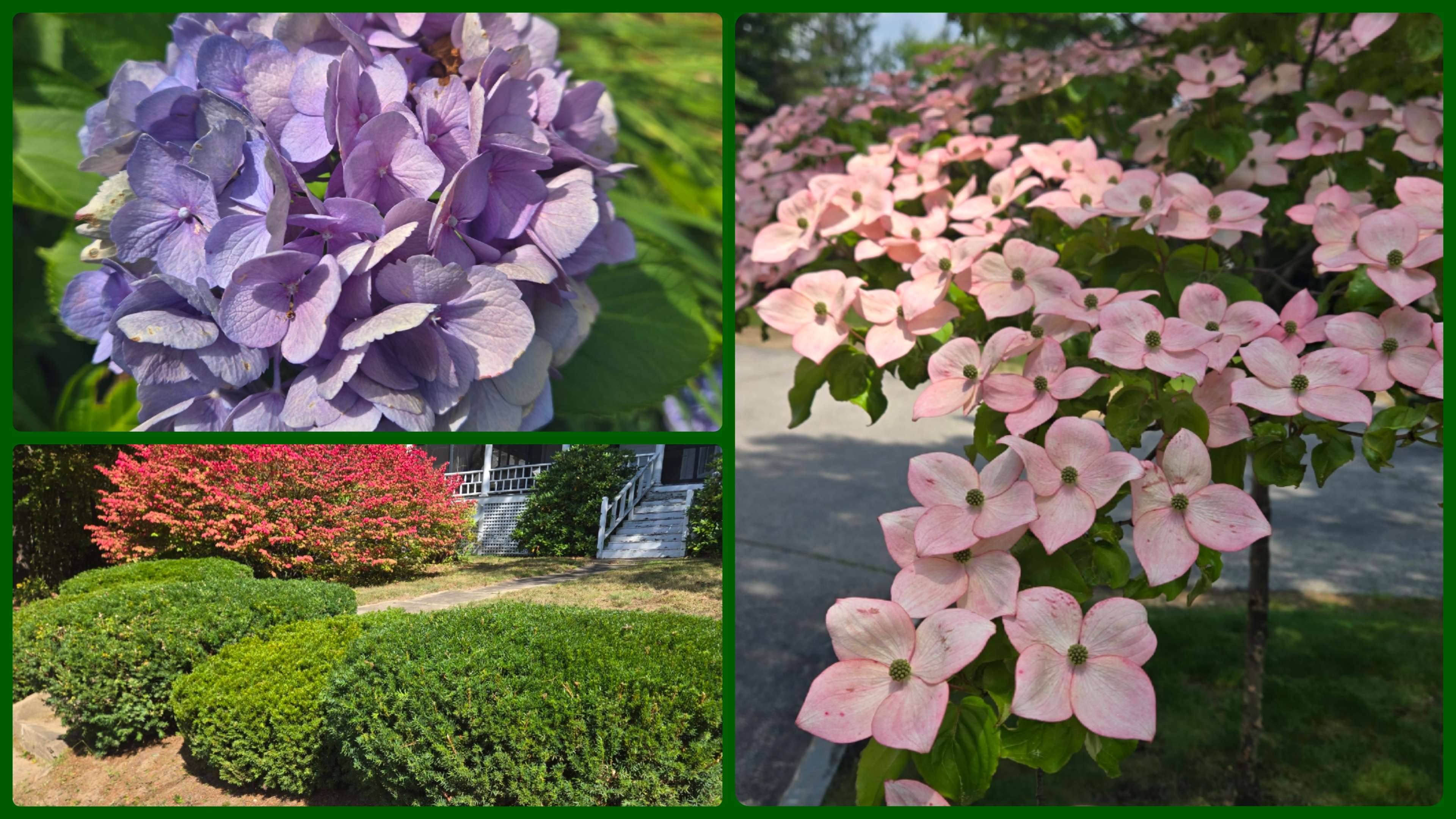 Garden Care & Mulching