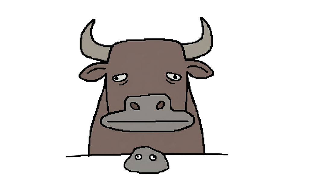 Bui the bull with his rock friend