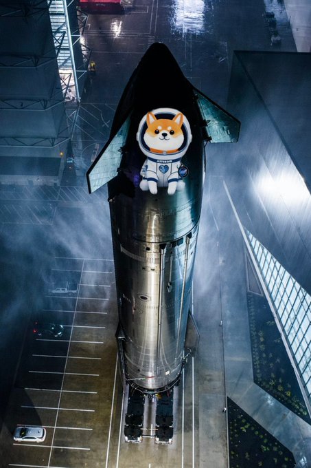 Asteroid on SpaceX Starship