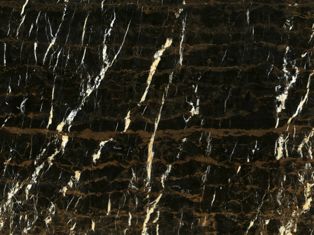 Golden Black