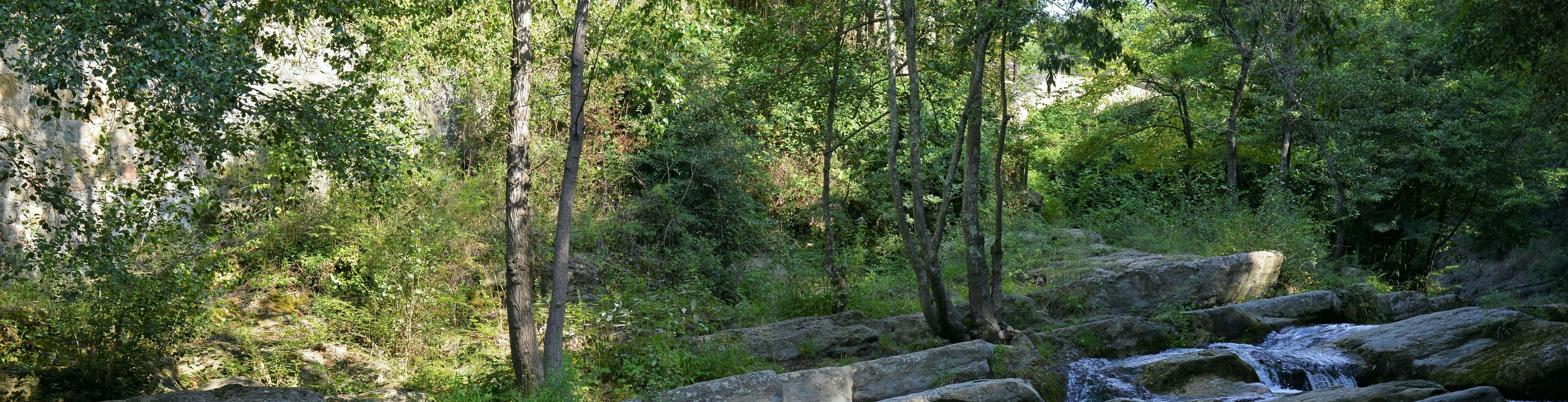El Gorg de Can Poeti, un racó de bosc i aigua a la Vall d'Hostoles