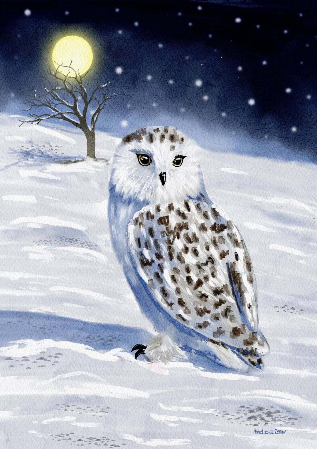 Annelies de Zeeuw — Snowy Owl