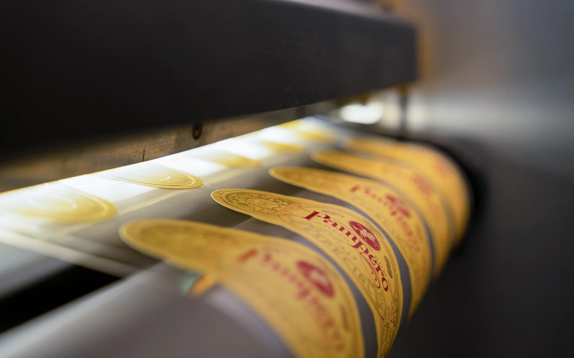 Golden labels under precision inspection lighting