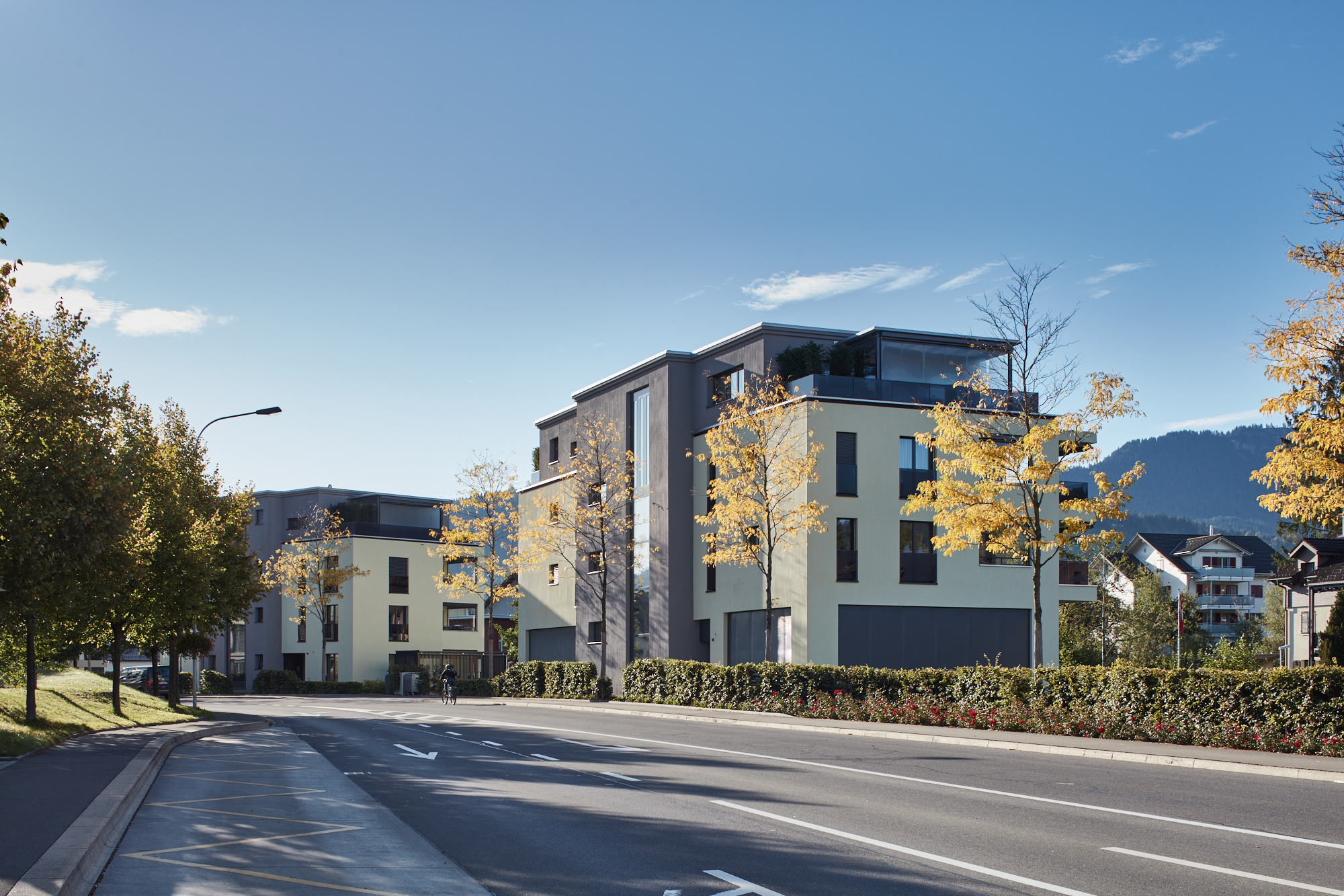 Wohnanlage mit Herbstbäumen an einer breiten Strasse
