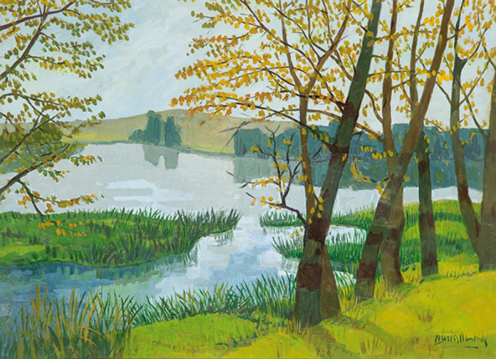 Paisatge fluvial tardorenc — arbres de fulles grogues