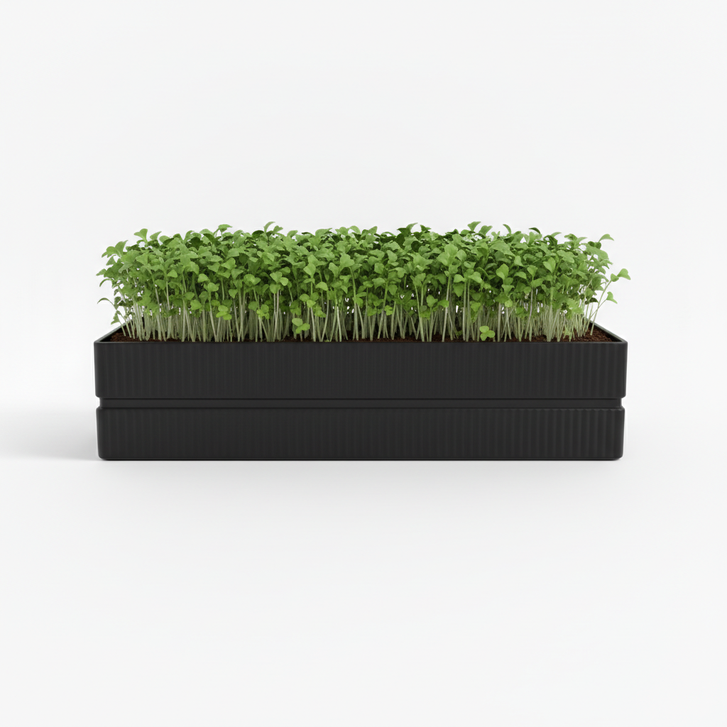 Red mustard microgreens in a Black Sparkle Linea module