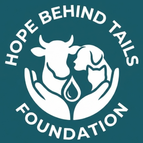 HBT Logo
