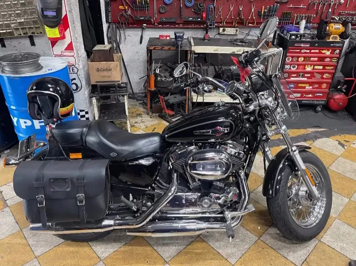 Harley Davidson Sportster 1200 con alforjas