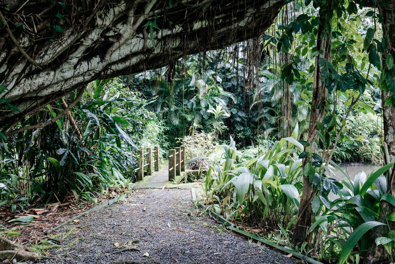 Haiku Gardens - Image 2
