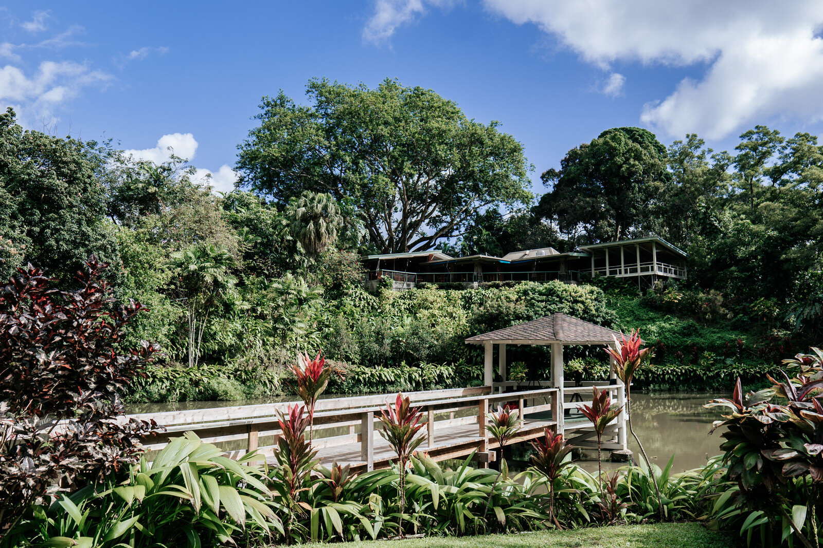 Haiku Gardens - Image 1