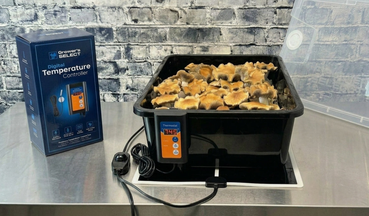 Цифровой регулятор температуры 1000W 2