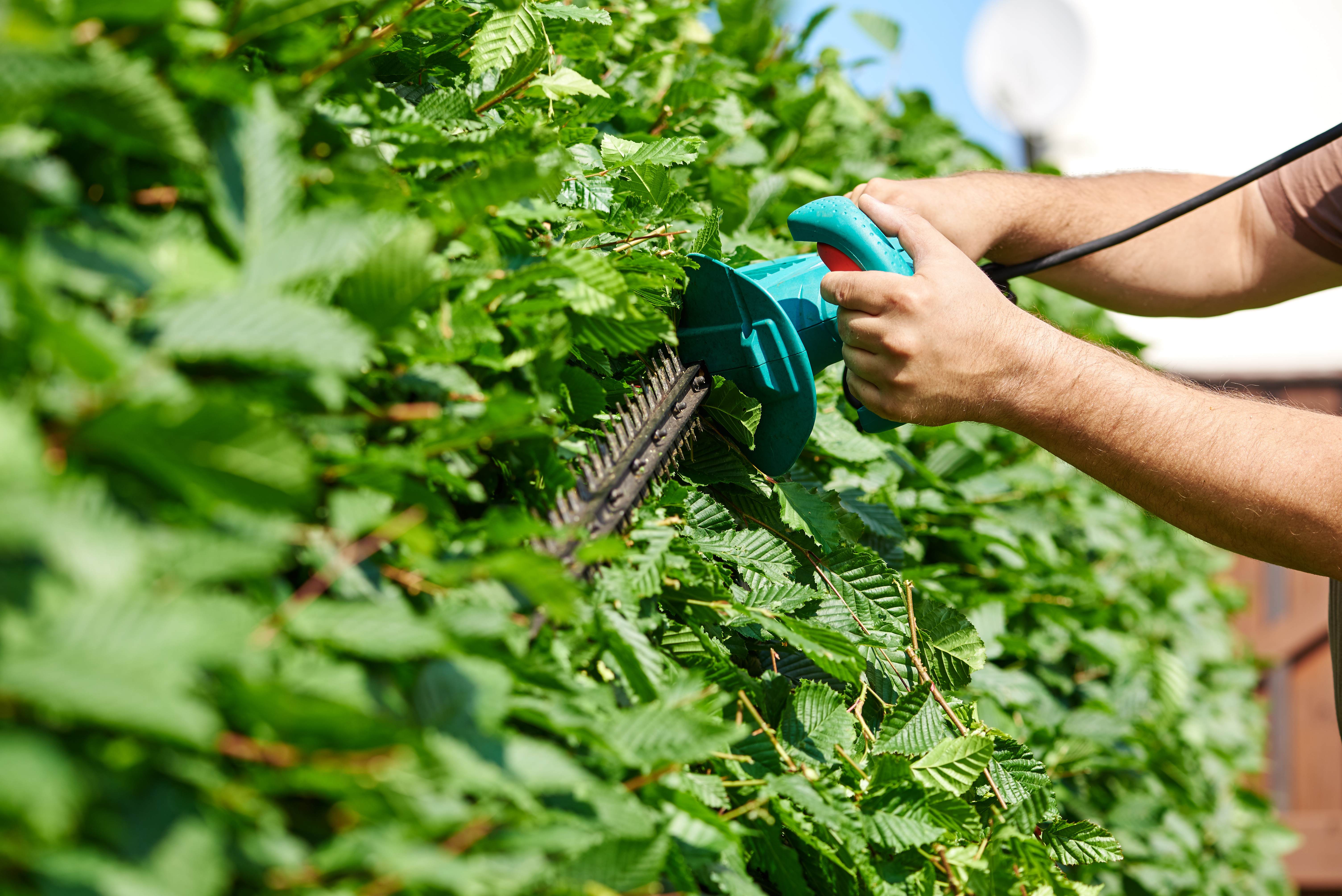 Professionelle Grünanlagenpflege von Sun Facility Management