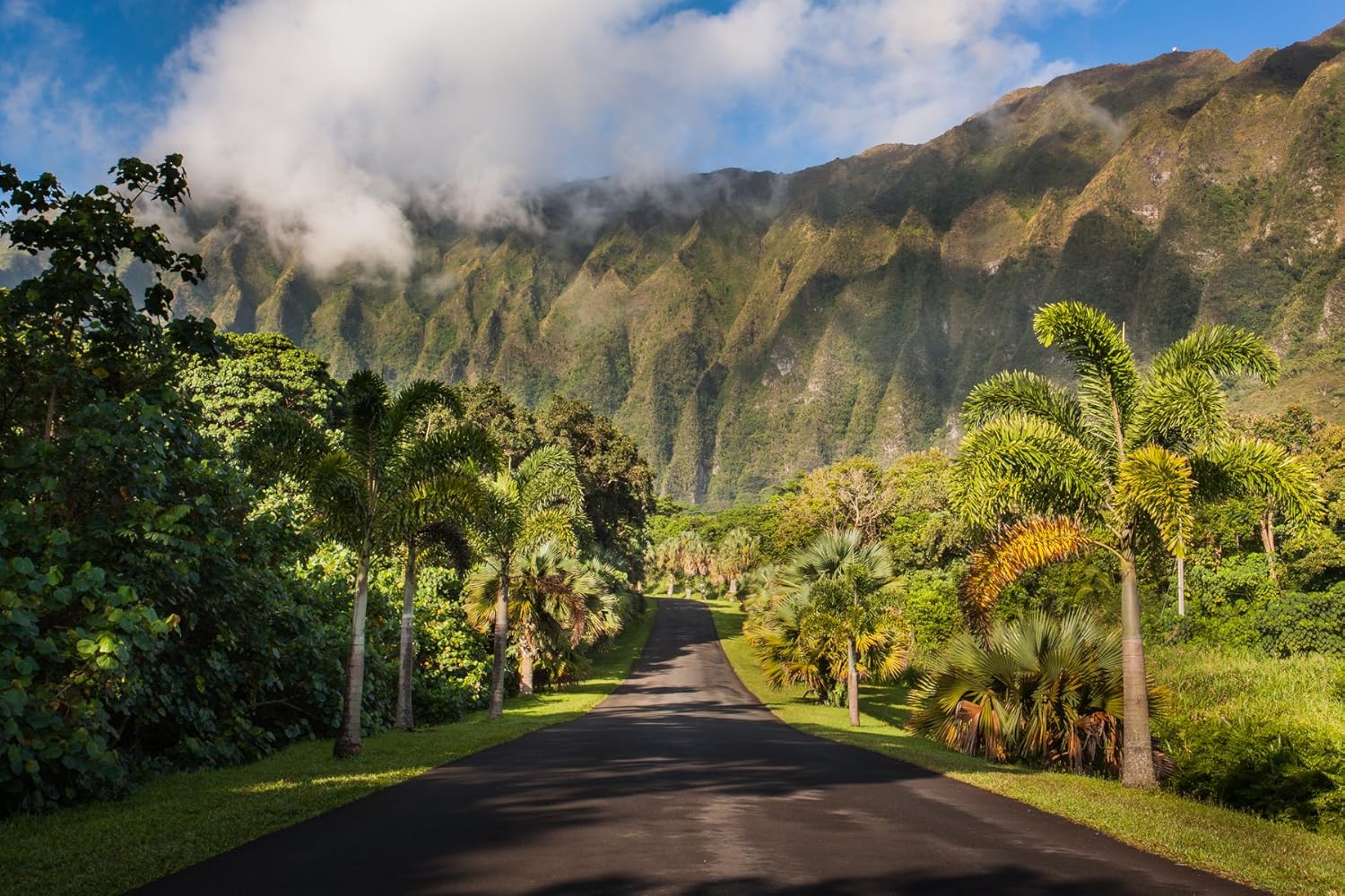 Ho'omaluhia Botanical Garden - Image 2