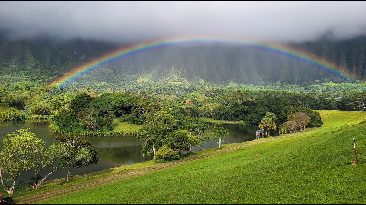 Ho'omaluhia Botanical Garden - Image 1