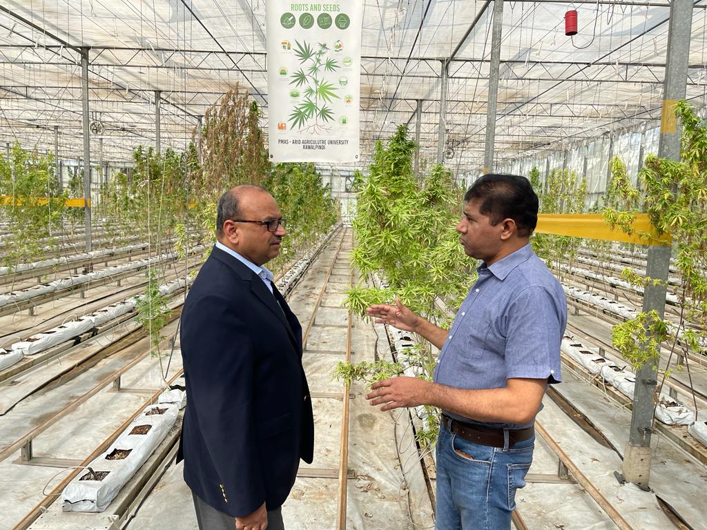 Hydroponic greenhouse at PMAS-Arid Agriculture University Rawalpindi
