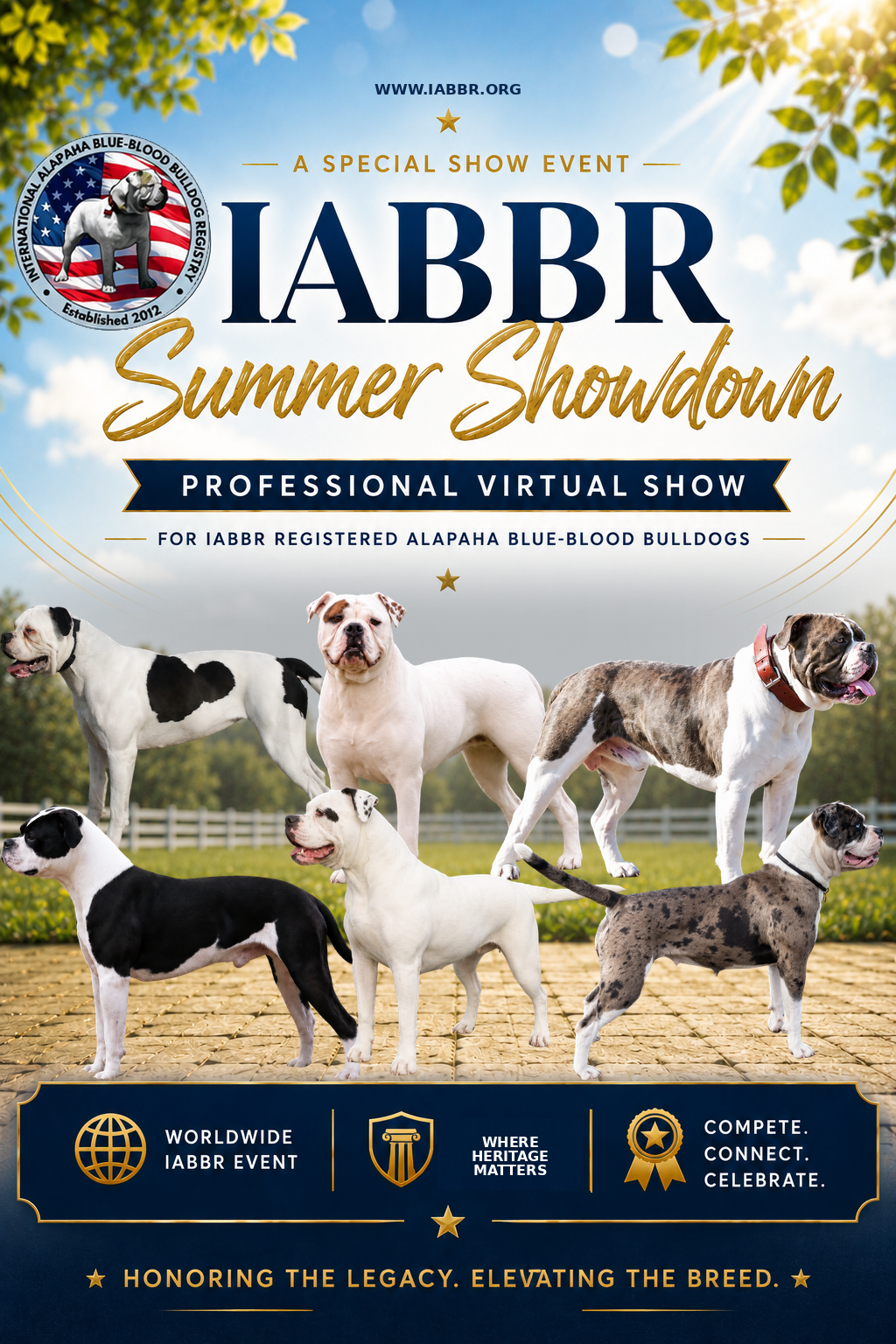IABBR Summer Showdown banner