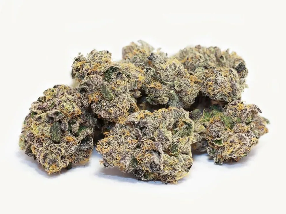 Blackberry Gelato thumbnail 2