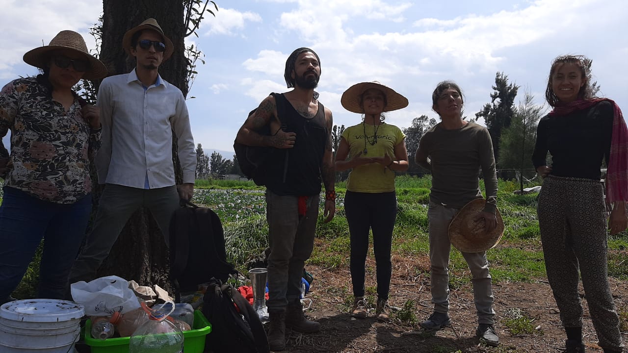 Tequio comunitario - trabajo colectivo