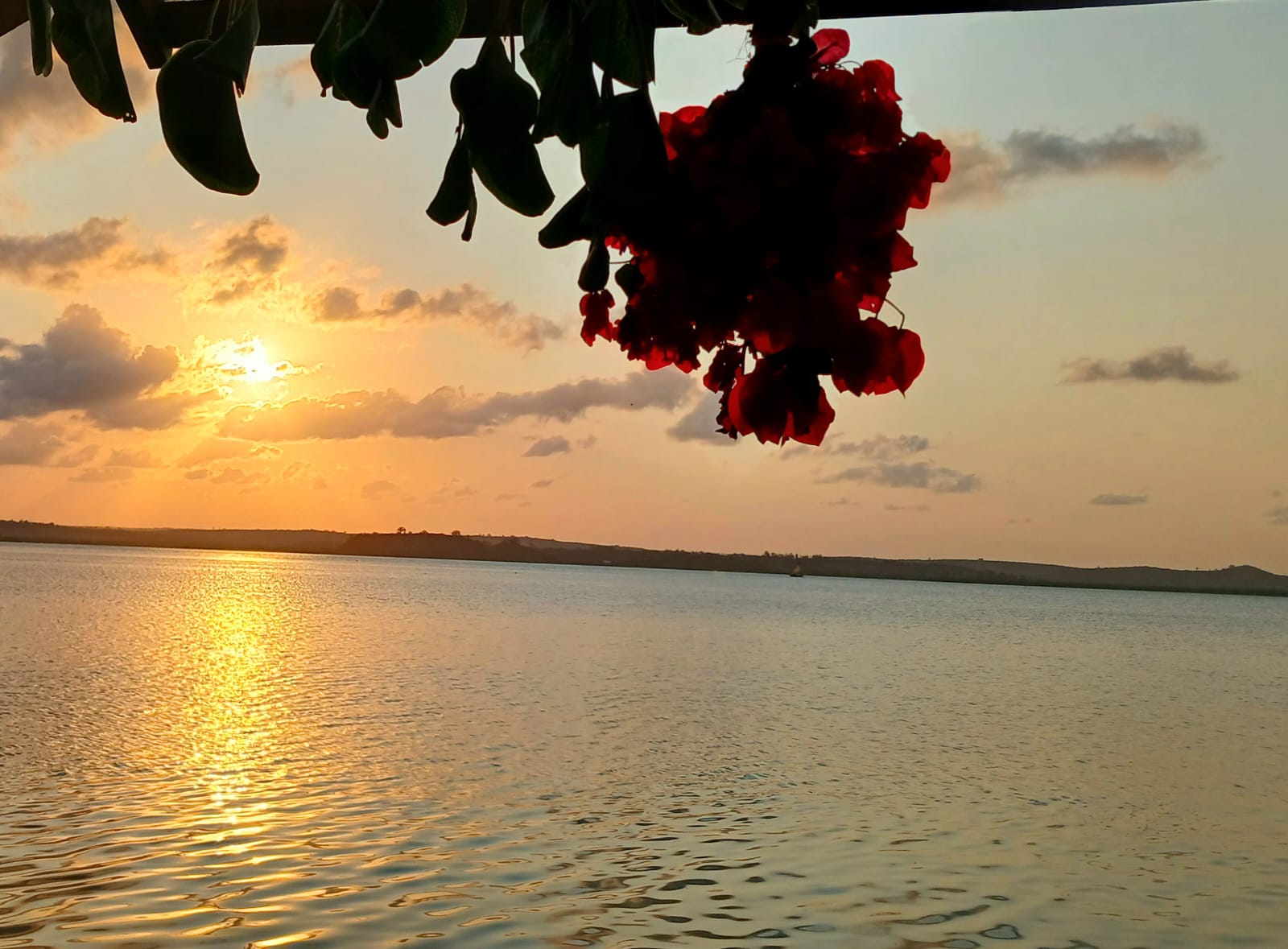 Tropical sunset with flowers