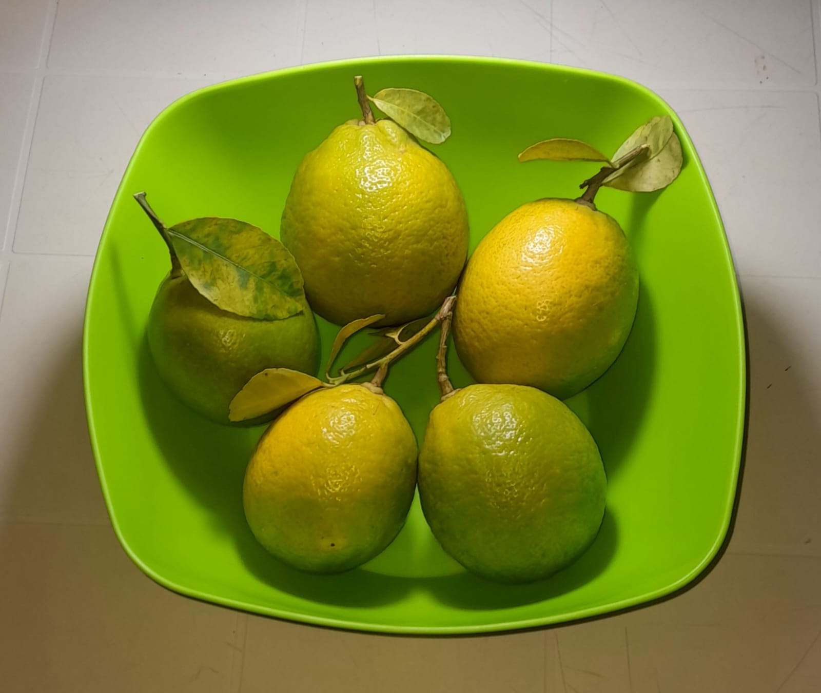 Limón Meyer de Finca San Miguel