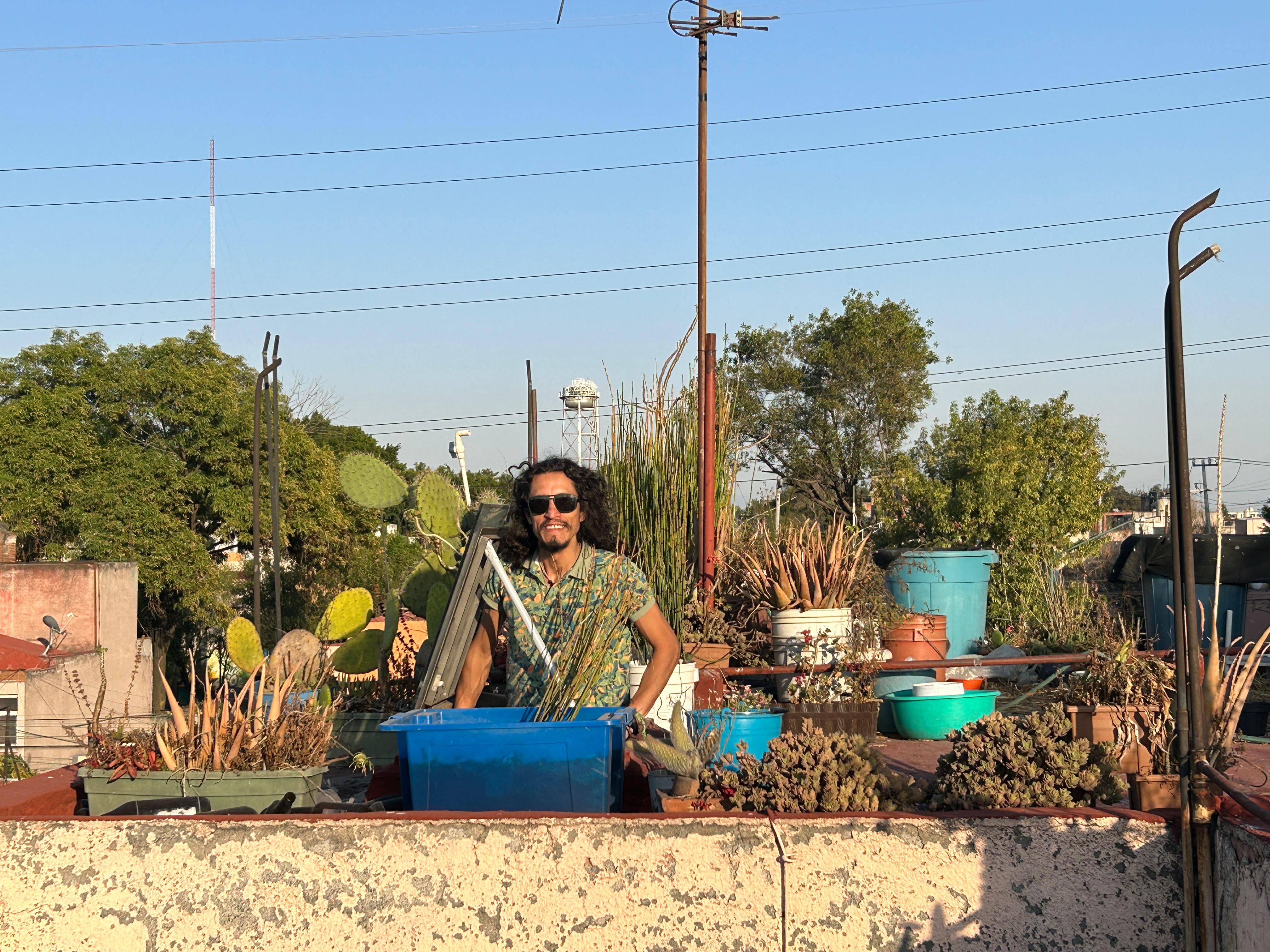 Huerto en azotea - agricultura urbana