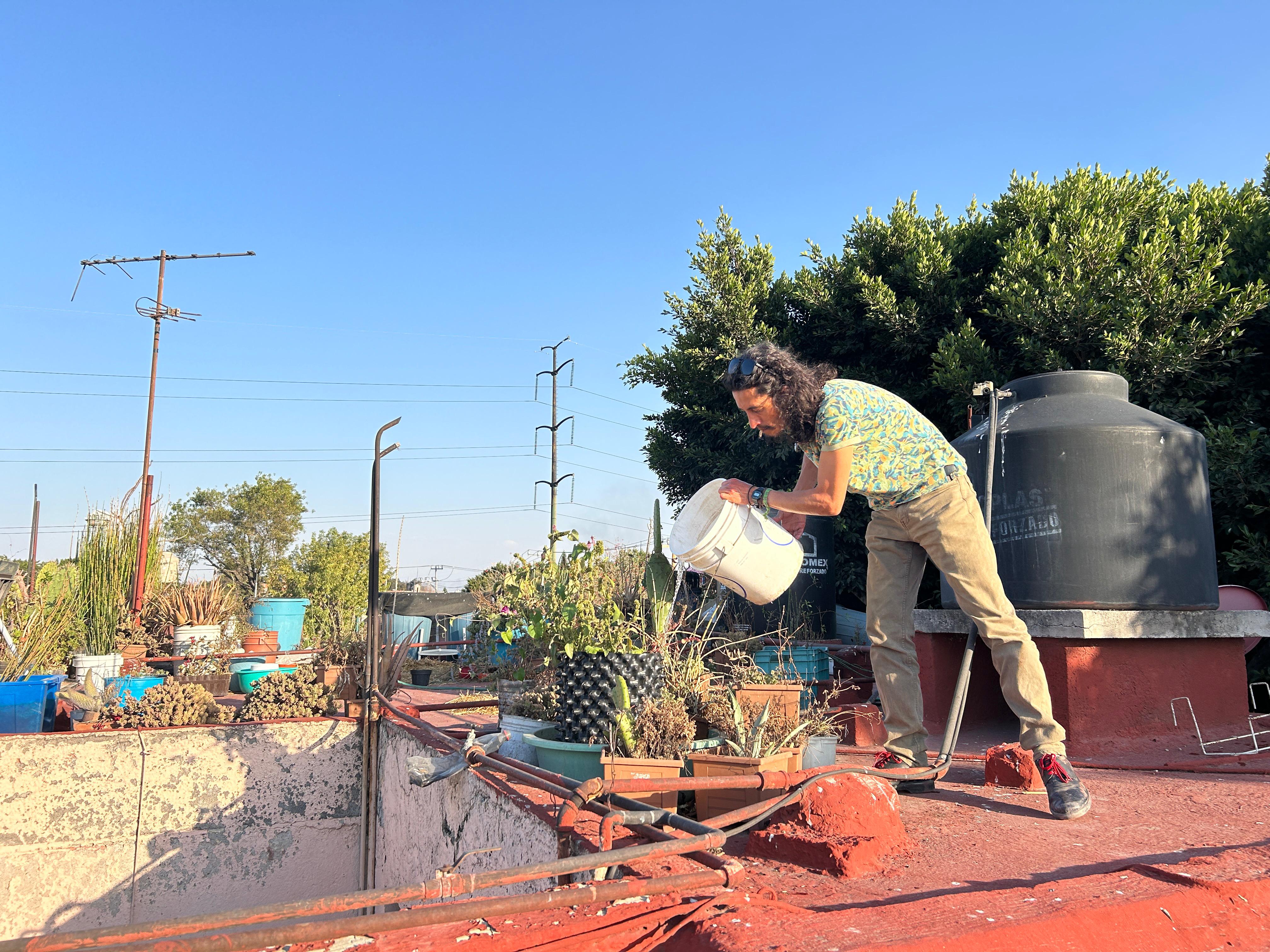Regando el huerto en la azotea
