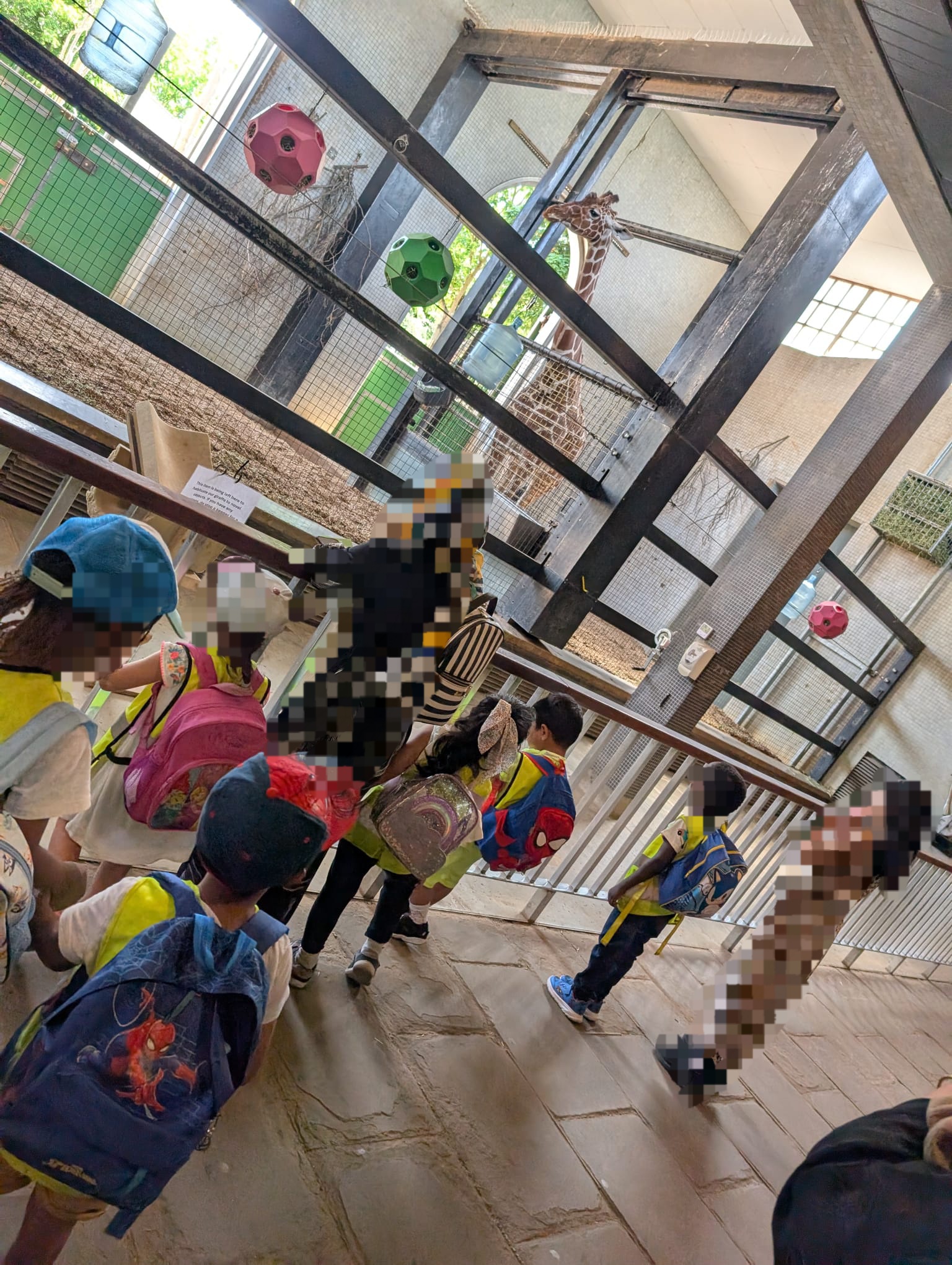 Children exploring indoor animal enclosure