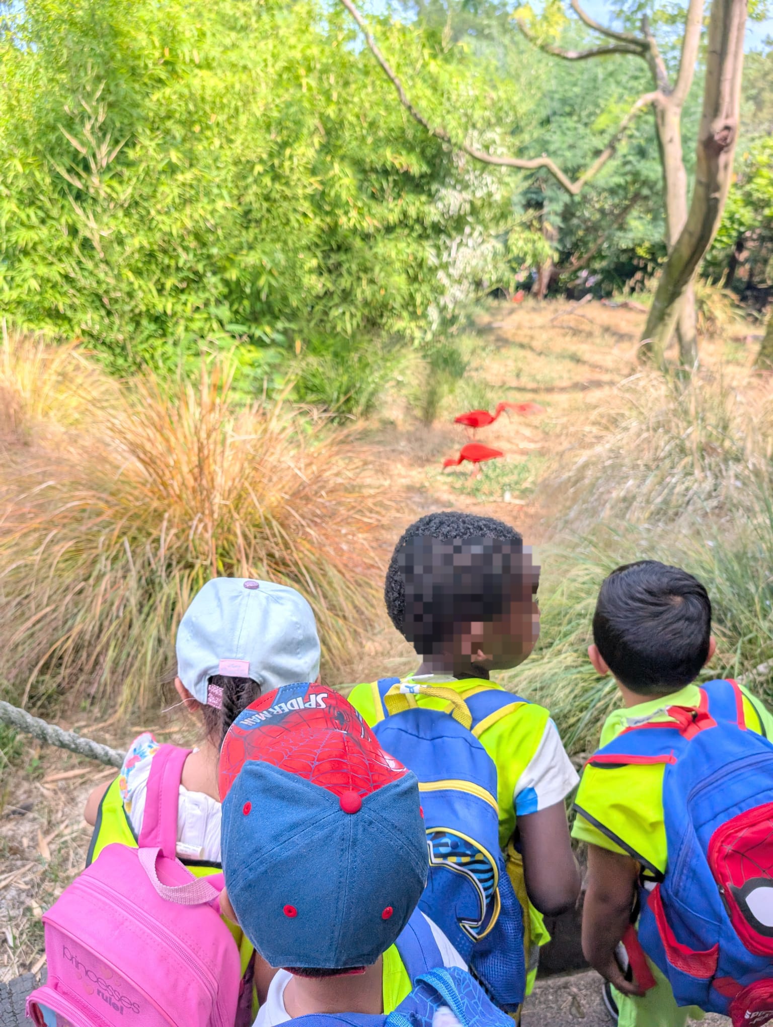 Children exploring nature path with outdoor plants