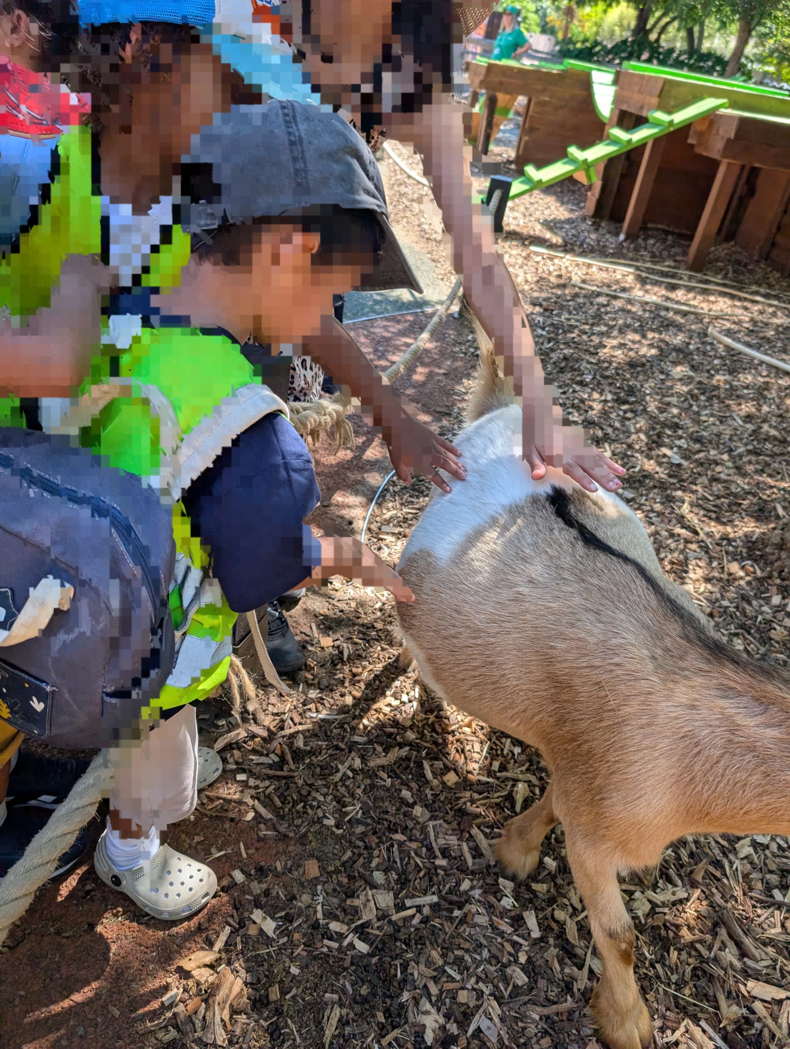 Children interacting with friendly goat