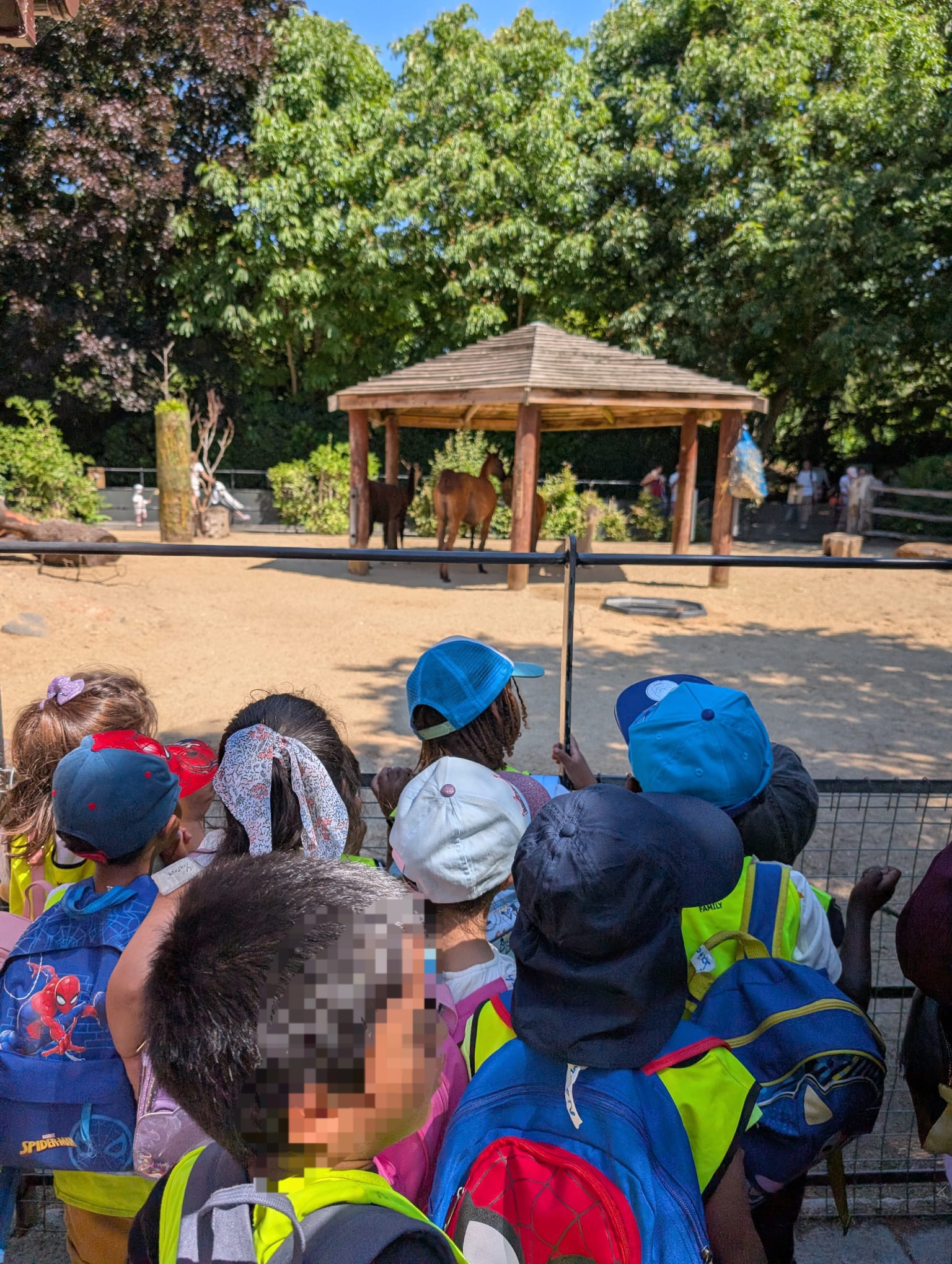 Children observing animals at the zoo gazebo