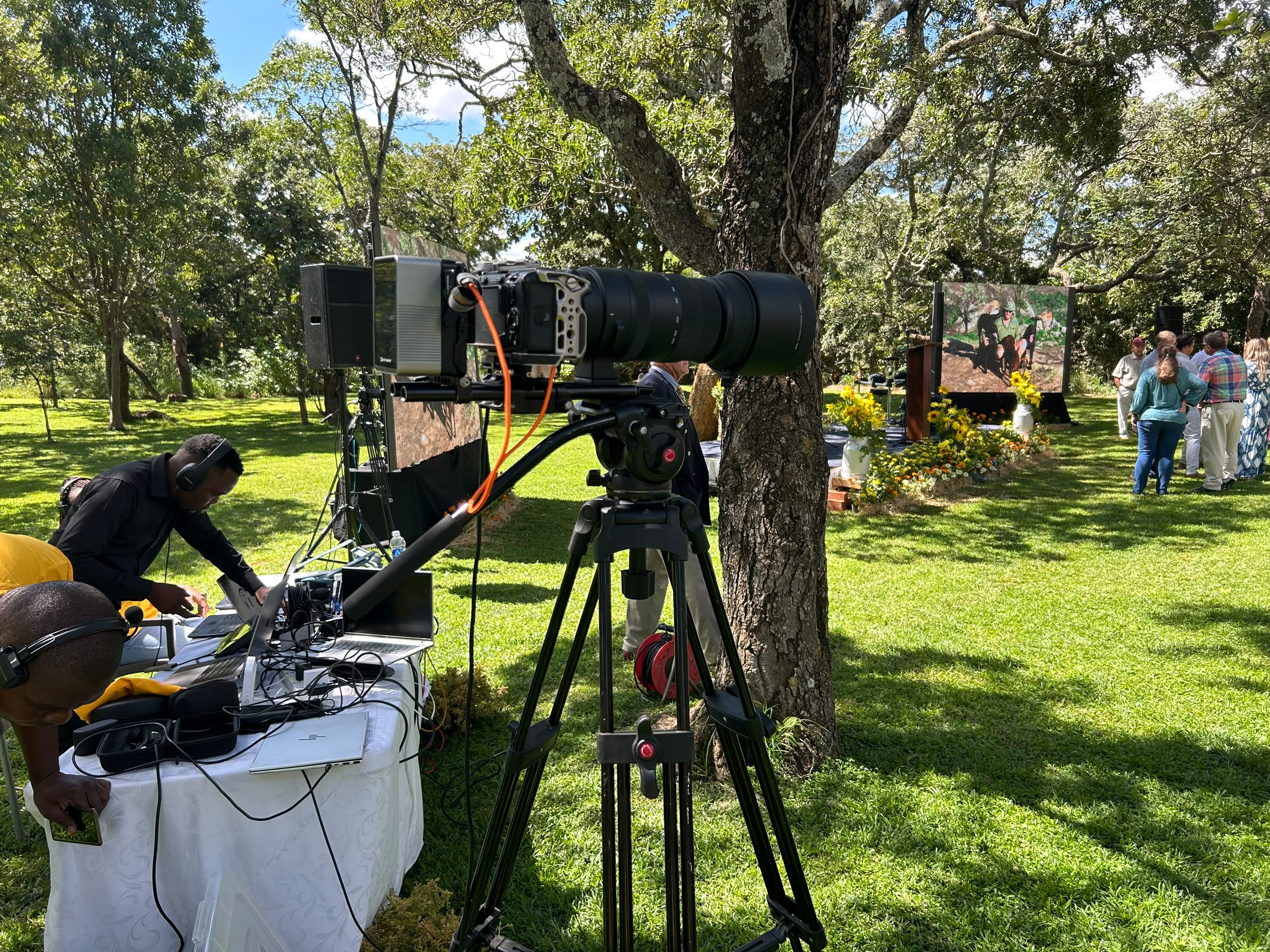 Professional outdoor wedding videography with cinema camera and scenic tree backdrop