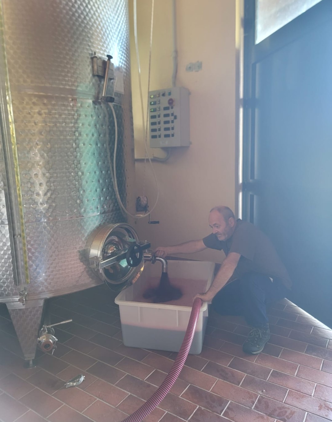 Travaso del mosto in cantina