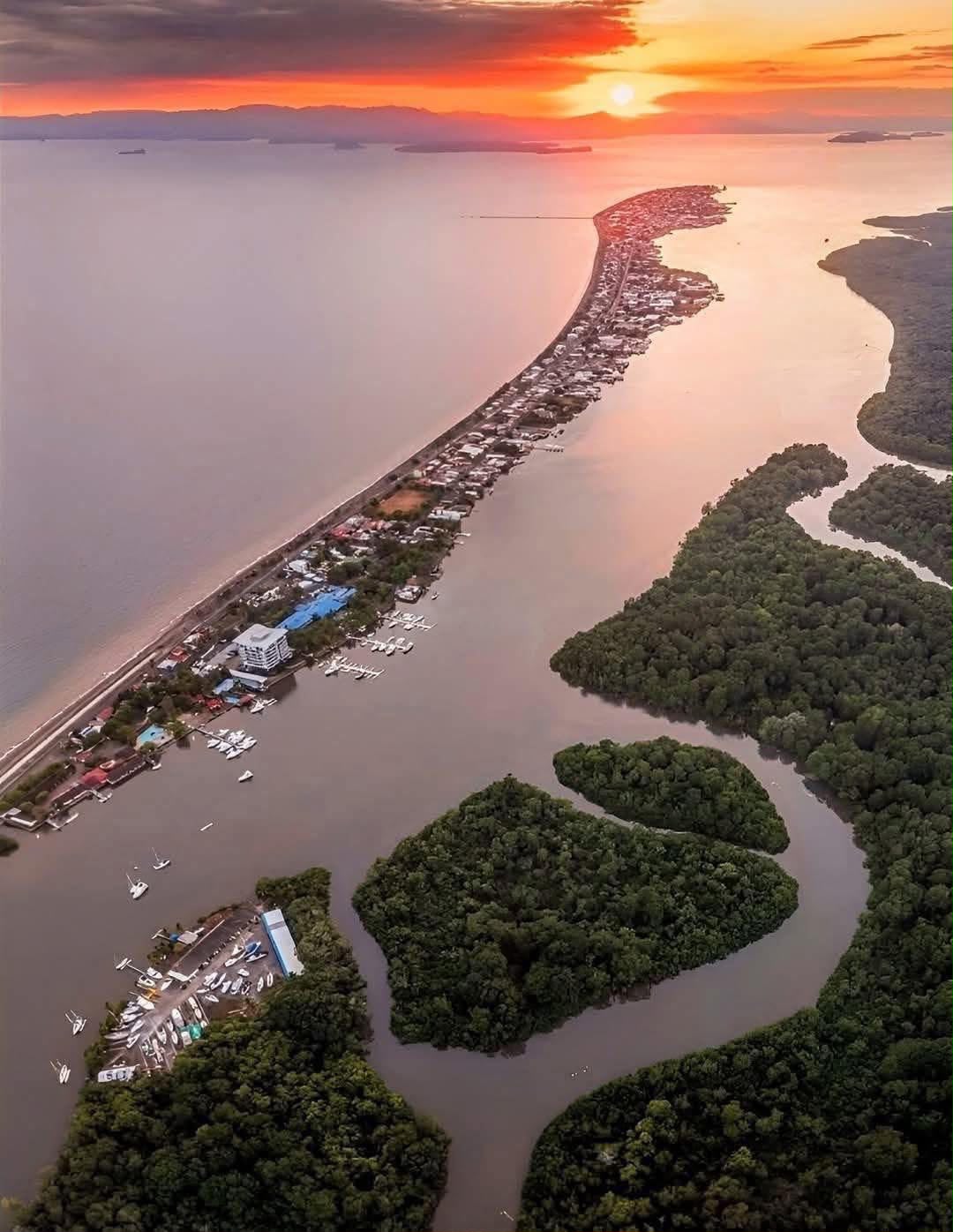 Vista aérea de manglares al atardecer