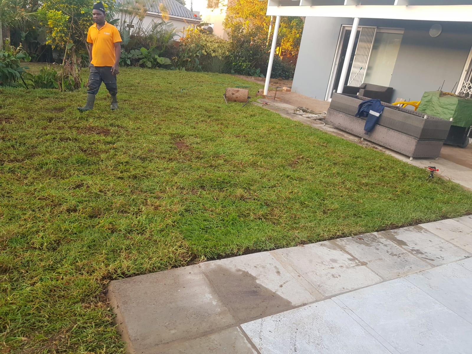 Fresh lawn installation by Hess Green Grass