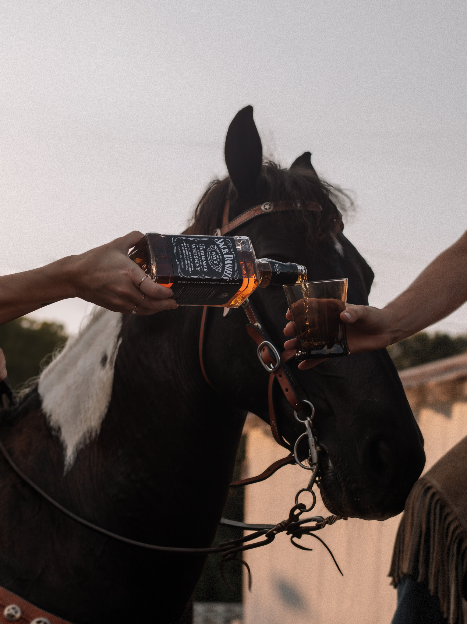 Pouring Jack Daniel's into glass over horse
