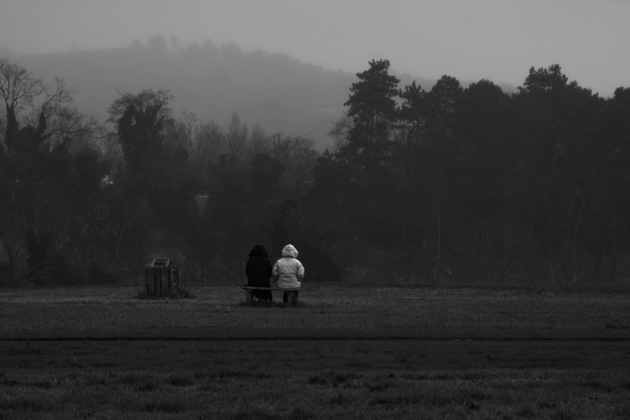 Two people sitting on bench in misty field