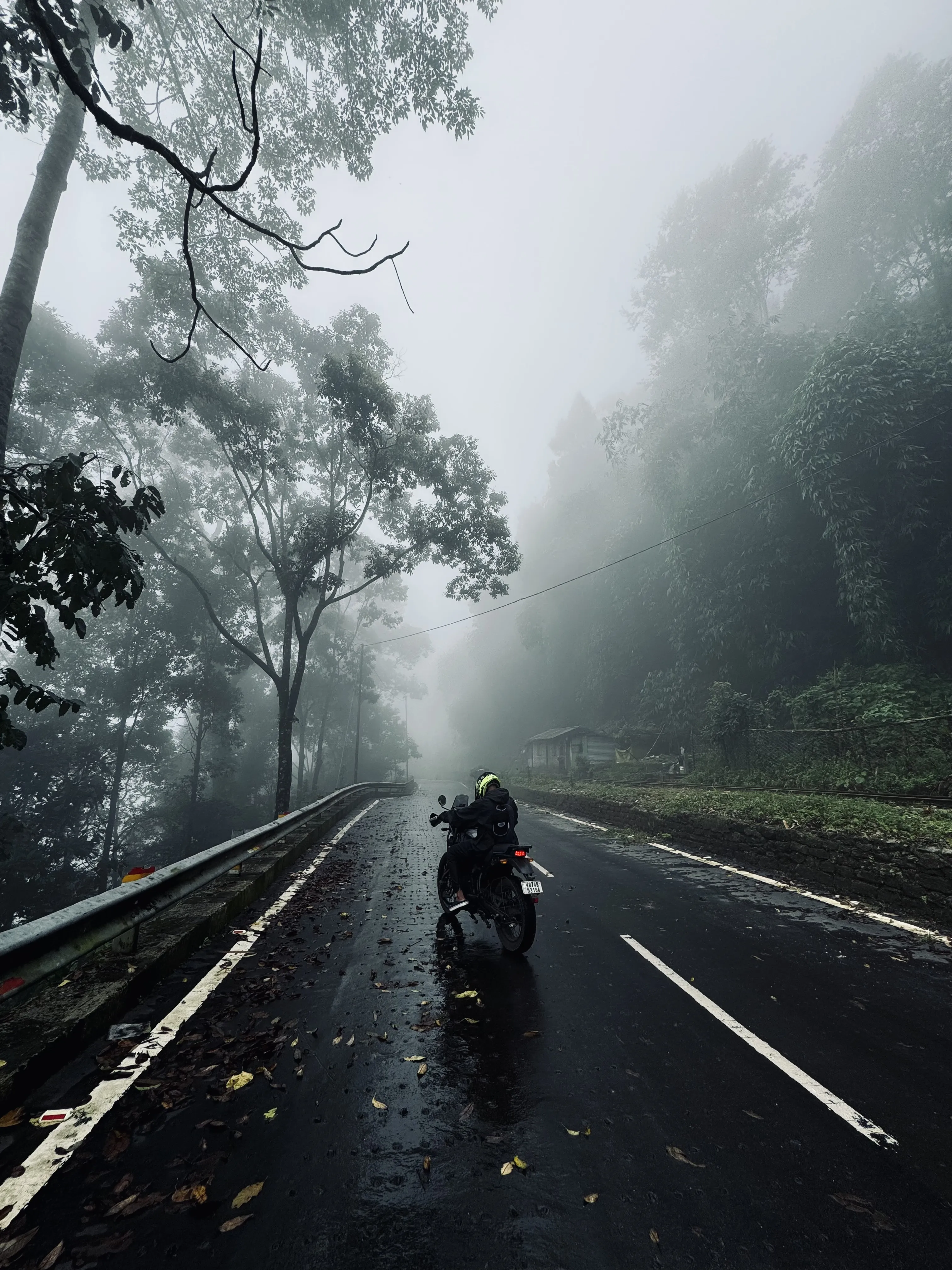 Atmospheric motorcycle journey through misty Himalayan roads with wet asphalt reflecting light, surrounded by dense fog-covered forest creating a mystical riding experience in North Bengal. Premium bike rentals in Sikkim for misty mountain rides.