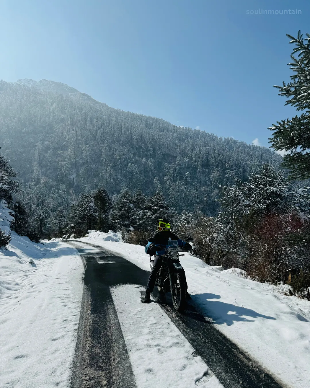 Winter motorcycle adventure in the Himalayas - Hero XPulse on a snow-covered mountain road surrounded by snow-laden pine trees and pristine winter landscape. Premium bike rentals in Siliguri for winter Himalayan exploration.