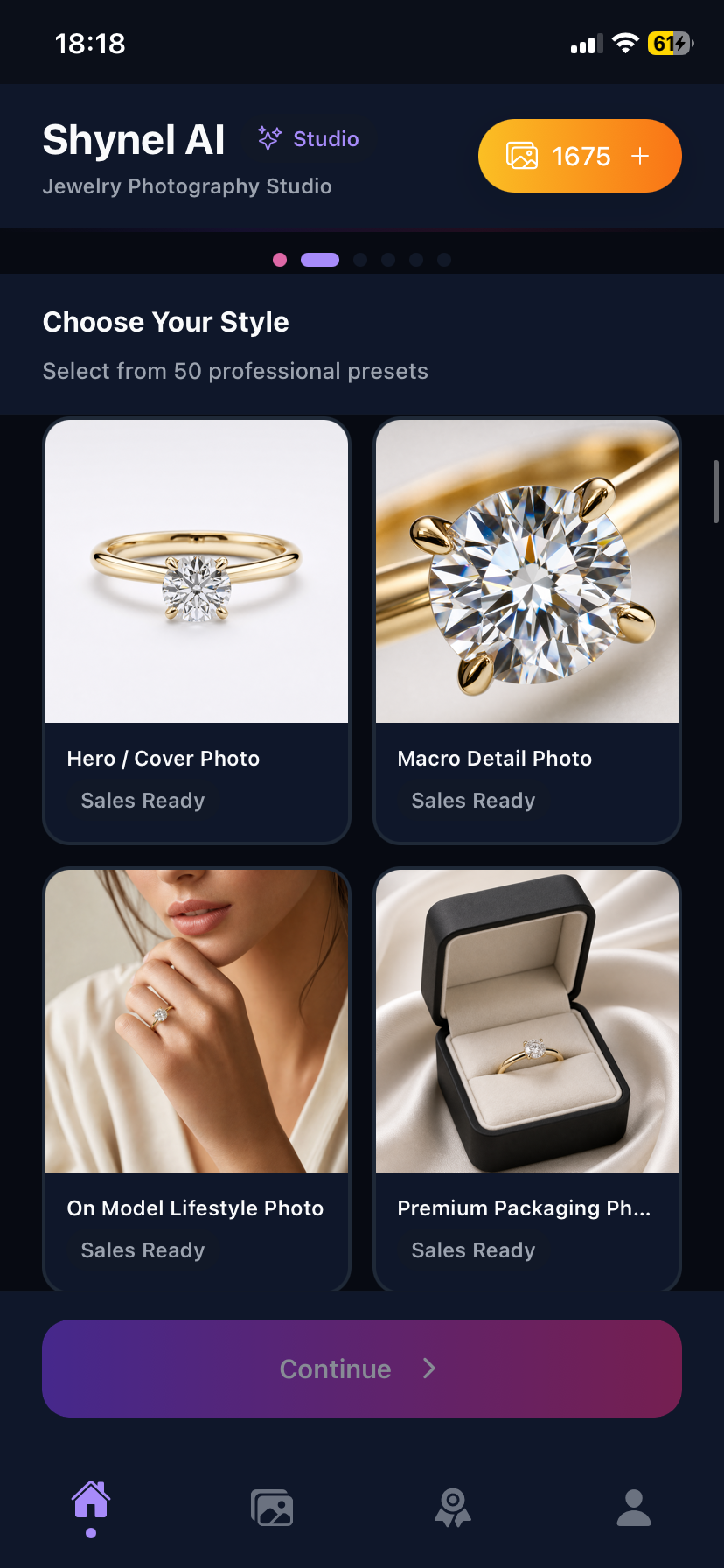 Shynel App - Choose your style presets